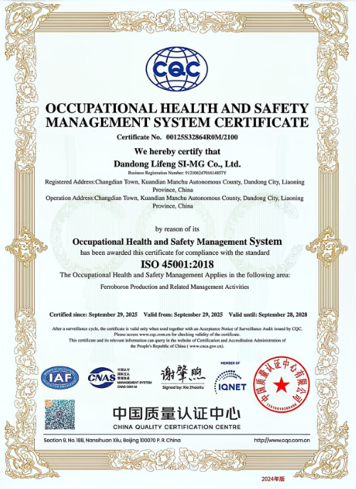 職業健康安全體系 職業健康安全體系